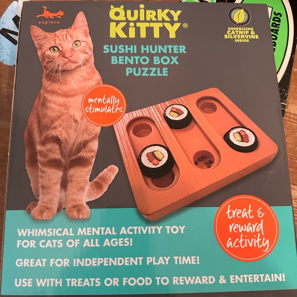 Quirky kitty educational cat toy